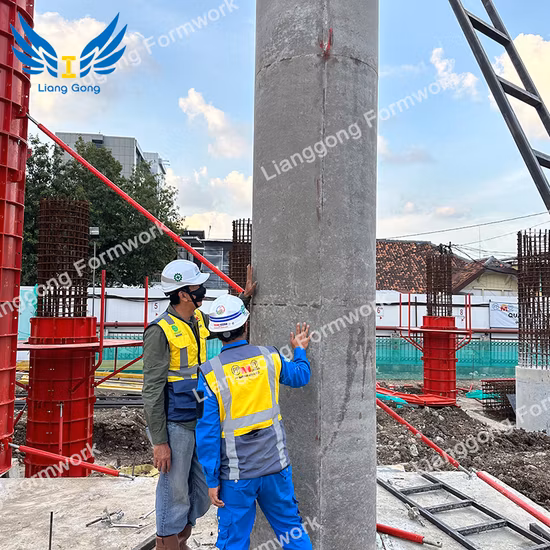Lianggong Popular Special Steel Circle Round Formwork for Column